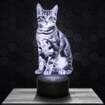 Lampe LED 3D Chat new